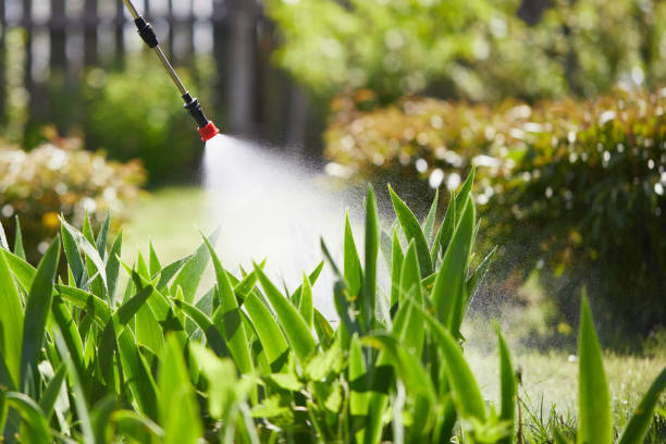 24/7 Emergency Mosquito Control experts in Woodburn, IN