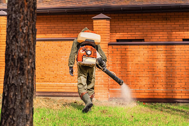 Top rated local Mosquito Control specialists in Woodburn, IN